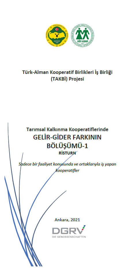 Tarımsal Kalkınma Kooperatiflerinde Gelir-Gider Farkının Bölüştürülmesi - 1 Tek Faaliyet