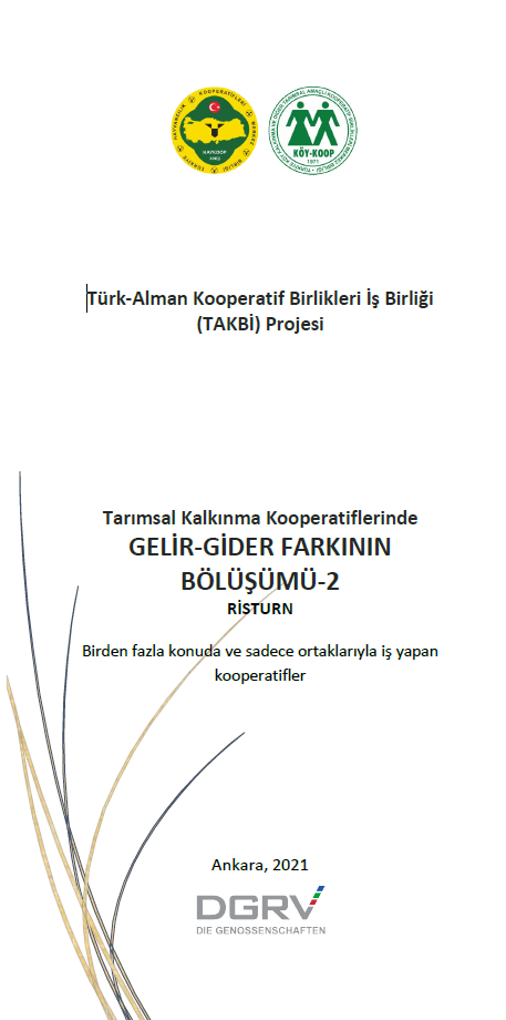 Tarımsal Kalkınma Kooperatiflerinde Gelir-Gider Farkının Bölüştürülmesi - 2 Çoklu Faaliyet